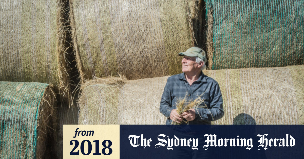 Tonnes of hay relief for farmers